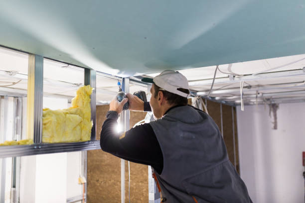 Best Spray Foam Insulation in Iraan, TX