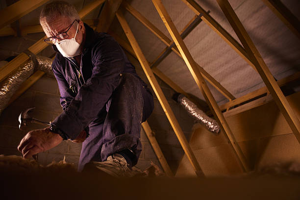 Best Residential Insulation in Iraan, TX
